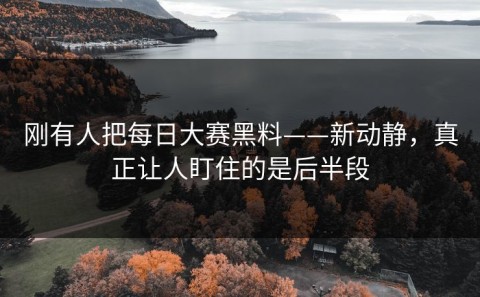 刚有人把每日大赛黑料——新动静，真正让人盯住的是后半段