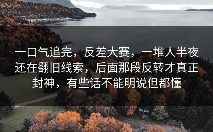 一口气追完，反差大赛，一堆人半夜还在翻旧线索，后面那段反转才真正封神，有些话不能明说但都懂