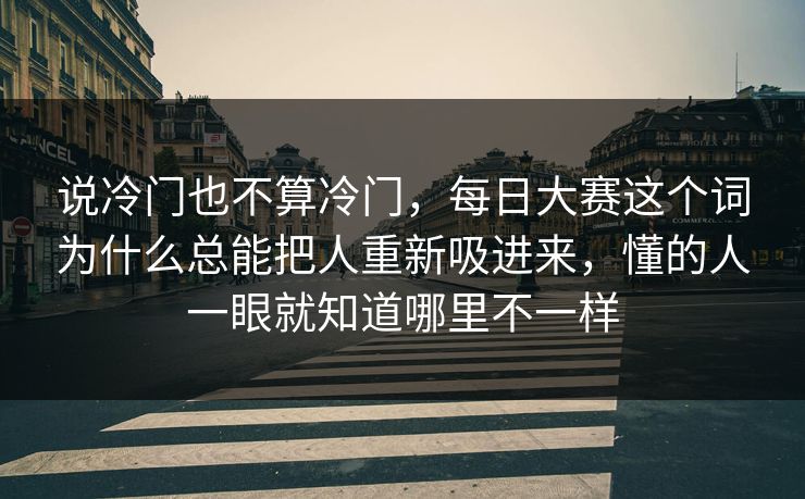 说冷门也不算冷门，每日大赛这个词为什么总能把人重新吸进来，懂的人一眼就知道哪里不一样