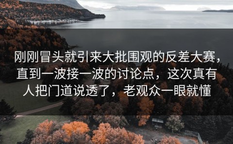 刚刚冒头就引来大批围观的反差大赛，直到一波接一波的讨论点，这次真有人把门道说透了，老观众一眼就懂
