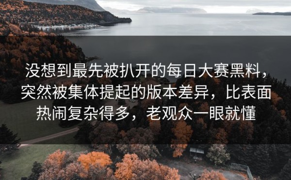 没想到最先被扒开的每日大赛黑料，突然被集体提起的版本差异，比表面热闹复杂得多，老观众一眼就懂