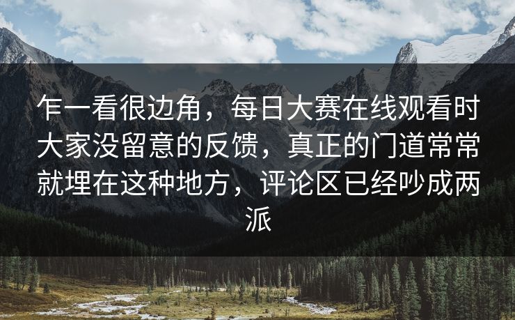 乍一看很边角，每日大赛在线观看时大家没留意的反馈，真正的门道常常就埋在这种地方，评论区已经吵成两派