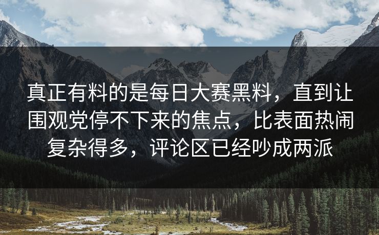 真正有料的是每日大赛黑料，直到让围观党停不下来的焦点，比表面热闹复杂得多，评论区已经吵成两派